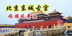 老司机操B中国北京-东城古宫旅游风景区